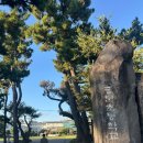 중문초등학교 | [제주 한달살이] 중문초등학교 러닝 후기 및 러닝화 구매 정보