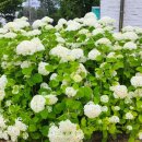 광주공연예술연습공간 이미지