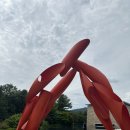 진프린트원주점 | [강원도 원주] 뮤지엄 산 방문기