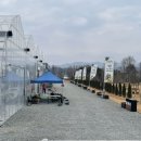 춘천시산림조합 | 춘천 봄여행 식집사들 가볼만한곳 :춘천시산림조합 나무시장(sj가든센터)