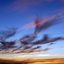 현대행정사사무소 이미지