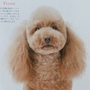 강아지정거장 - 서구 운천로 128 | 강아지정거장