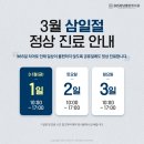 새소망치과 티스토리