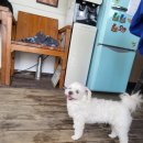 콩이네민박 이미지