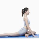 교정요가 이미지