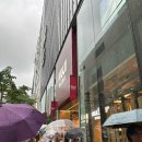 담재건강식품 | [TOKYO] 일본 도쿄 긴자 여행 쇼핑 | muji 무인양품 강력 추천템 필수 구매 후기