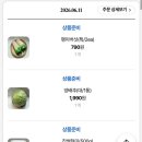 포항 새벽배송 가능한 온라인 쇼핑몰, 팜플렉스 주문 후기