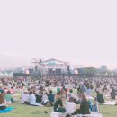 (주)라임트리