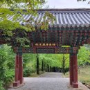 자인당 Daum카페
