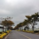 주경목장 이미지