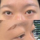 디자인1번지 | [브로우1번지] 플랫모 클래식연장 솔직후기