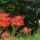 북평고등학교 이미지