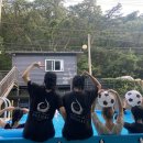 산그린펜션 이미지