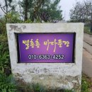 별총총바다풍경 이미지