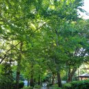 노원-상계-2100 이미지