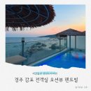 구름애견펜션&공방 | 경주감포애견동반펜션 펜트빌 독채형 풀빌라 카라반 다녀왔어요