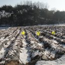 전재원공인중개사사무소 이미지