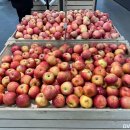 극동마트 이미지