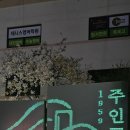 인천🚂도화역🏵수봉공원〽️주인공원🎏인천용현시장🉐️4/12답사 이미지