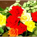 사람이 꽃보다 아름 이미지