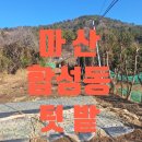 합성동105 이미지