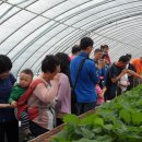 둥지농장 이미지