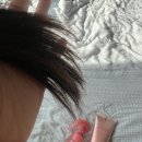 정전기 일어나는 손상모 되돌리는 법 쿤달 데미지 케어 노워시트리트먼트 헤어미스트 사용 후기
