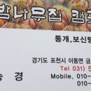 약사밤나무집캠핑장