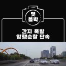 버스전용차선 위반 단속하러 가는 암행순찰차 ㄷㄷ.gif 이미지