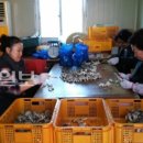 진명농장 이미지