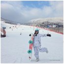 곤지암리조트 | 곤지암 스키장 렌탈샵 추천 곤지암리조트 리프트권 후기