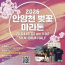 두 번째 벚꽃 | 두 번째 10km, 안양천 벚꽃마라톤 솔직 후기