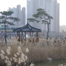한강신도시 호수공원 이미지