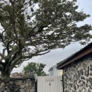 뉘드뽀즈 이미지