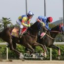 로얄더비파크 이미지