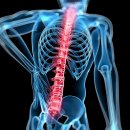 편한마디정형외과의원 이미지