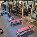 노경우 퍼스널 트레이닝 이미지