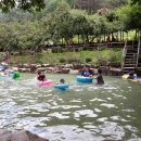 자두마을 이미지