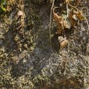 상하민박팬션 이미지