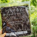 시월애봄날 이미지