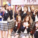 러블리즈 카카오 검색결과