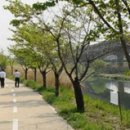 구립 태양 하나 어린이집 네이버블로그