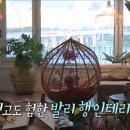뉴발리 이미지