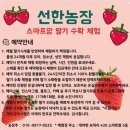 선한농장 네이버블로그