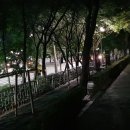 한스비어 이미지