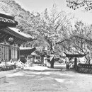 원허스님행장＜1896-1966＞ 이미지