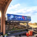 신대박식당 | 제주 신라스테이 이호테우 근처 맛집 신대박횟집, 제주 이호테우해변 맛집