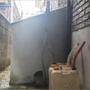 의림대로 이미지