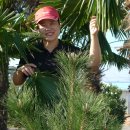 무안톱관광펜션 이미지