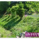 봄뜰에농장 이미지